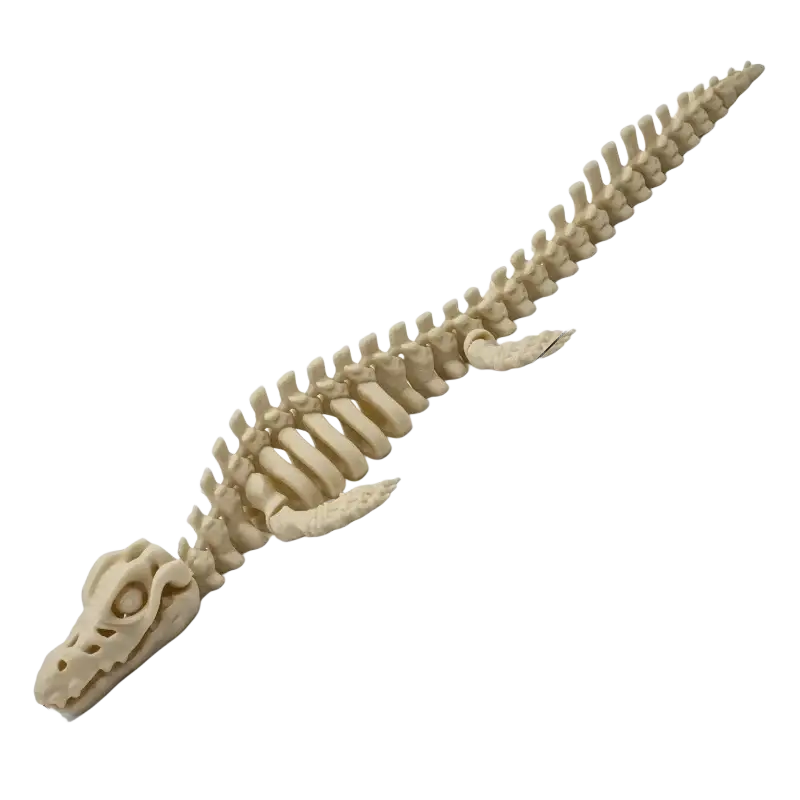 A cream-colored resin dinosaur skeleton aquarium decoration with intricate details for aquatic landscape simulation