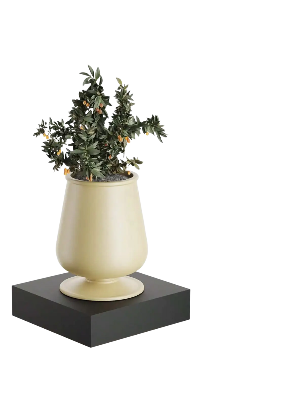 Cream-colored glossy ceramic planter with flared rim and pedestal base on a black modern wood wall organizer display shelf