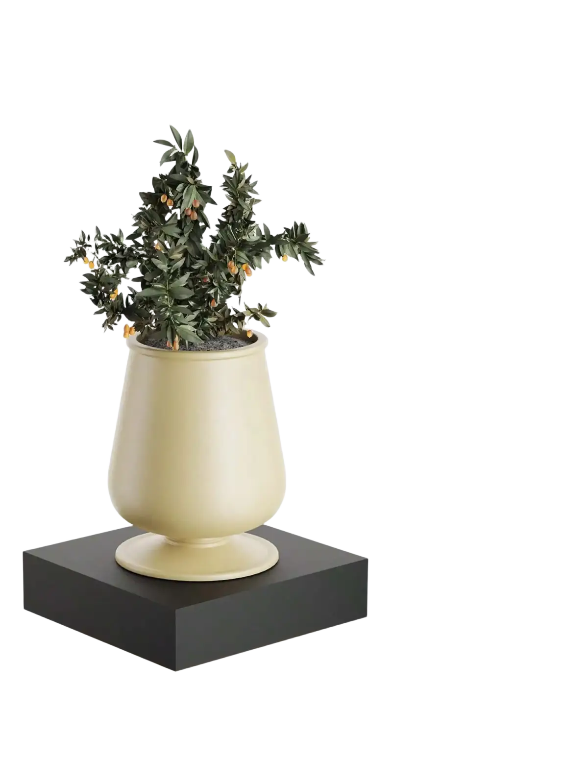 Cream-colored glossy ceramic planter with flared rim and pedestal base on a black modern wood wall organizer display shelf