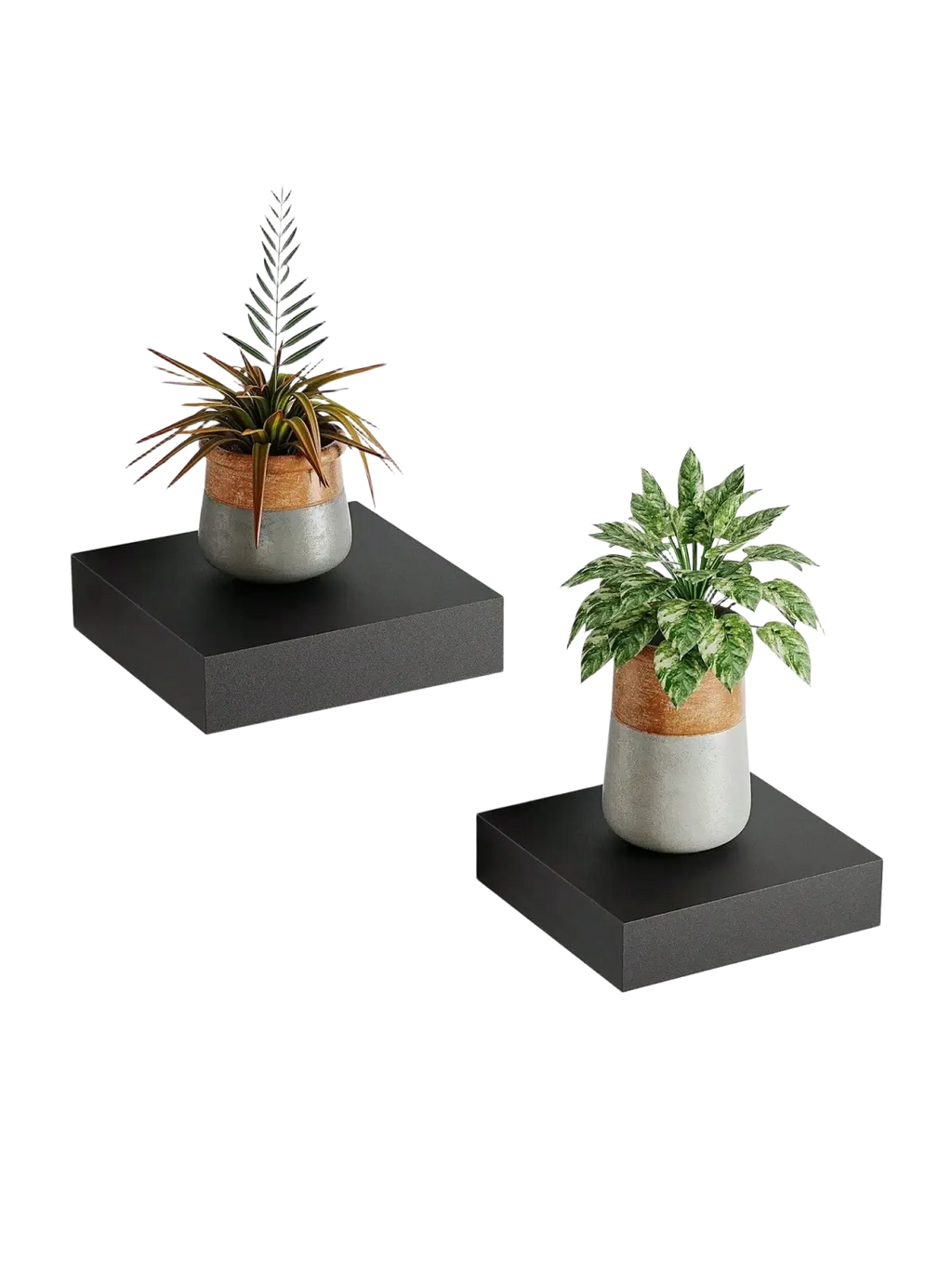 Black modern floating wall organizer display shelf with matte finish holding potted plants in wood and gray pots