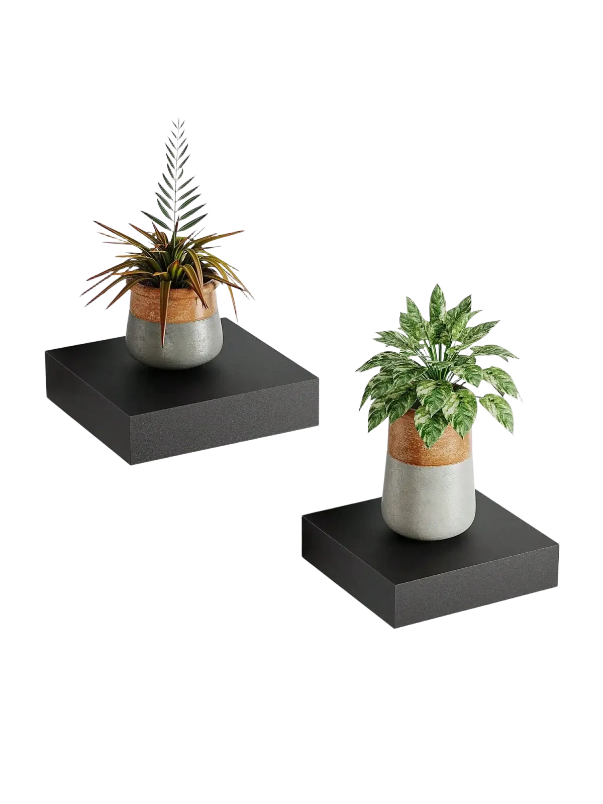 Black modern floating wall organizer display shelf with matte finish holding potted plants in wood and gray pots