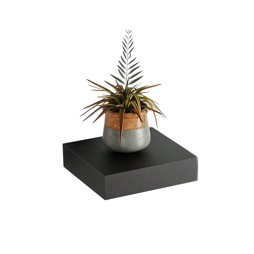 A modern black wood display shelf wall organizer with a two-toned ceramic matte gray planter holding an air plant