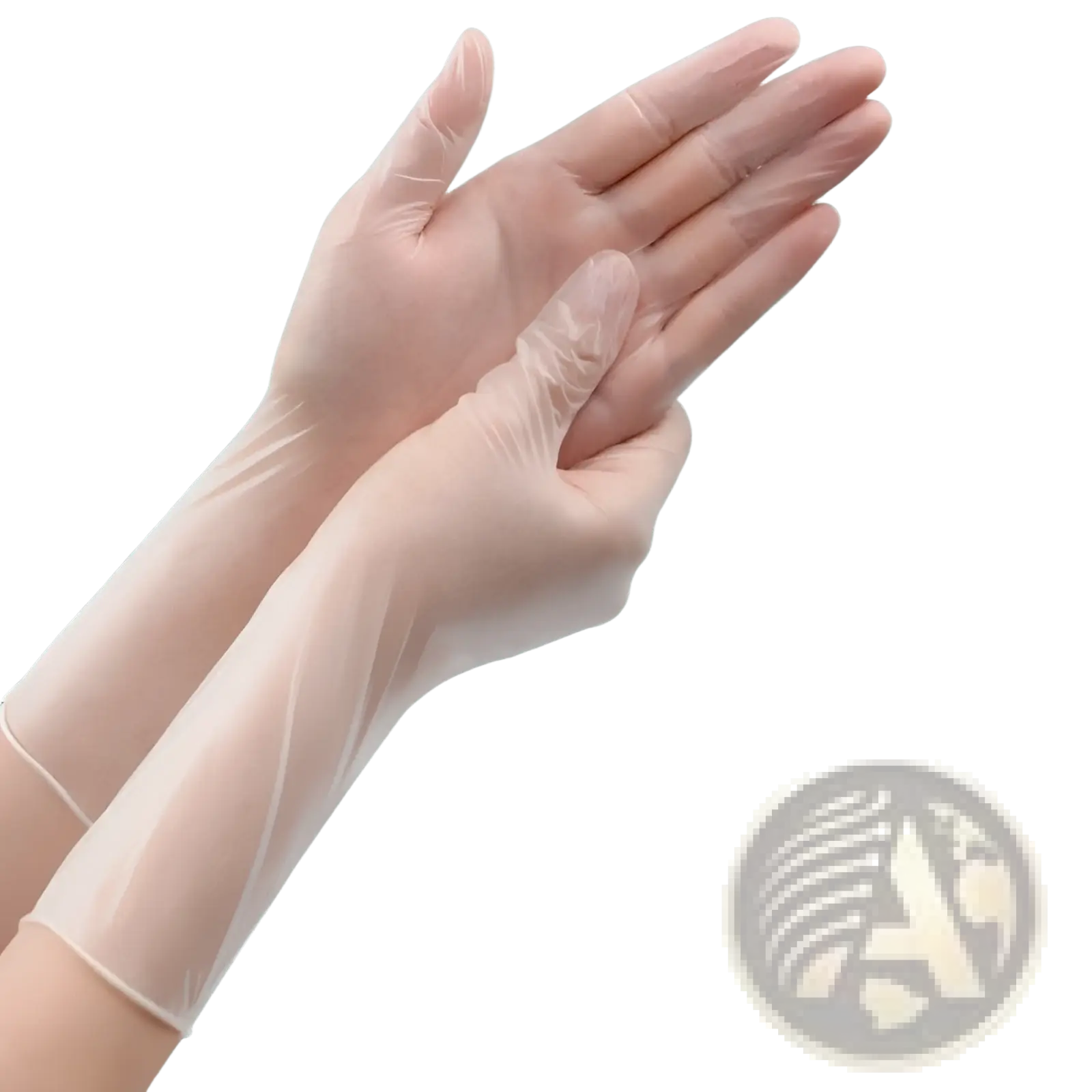 Clear disposable pvc and nitrile kitchen gloves with extended cuffs for enhanced waterproof protection 100pcs