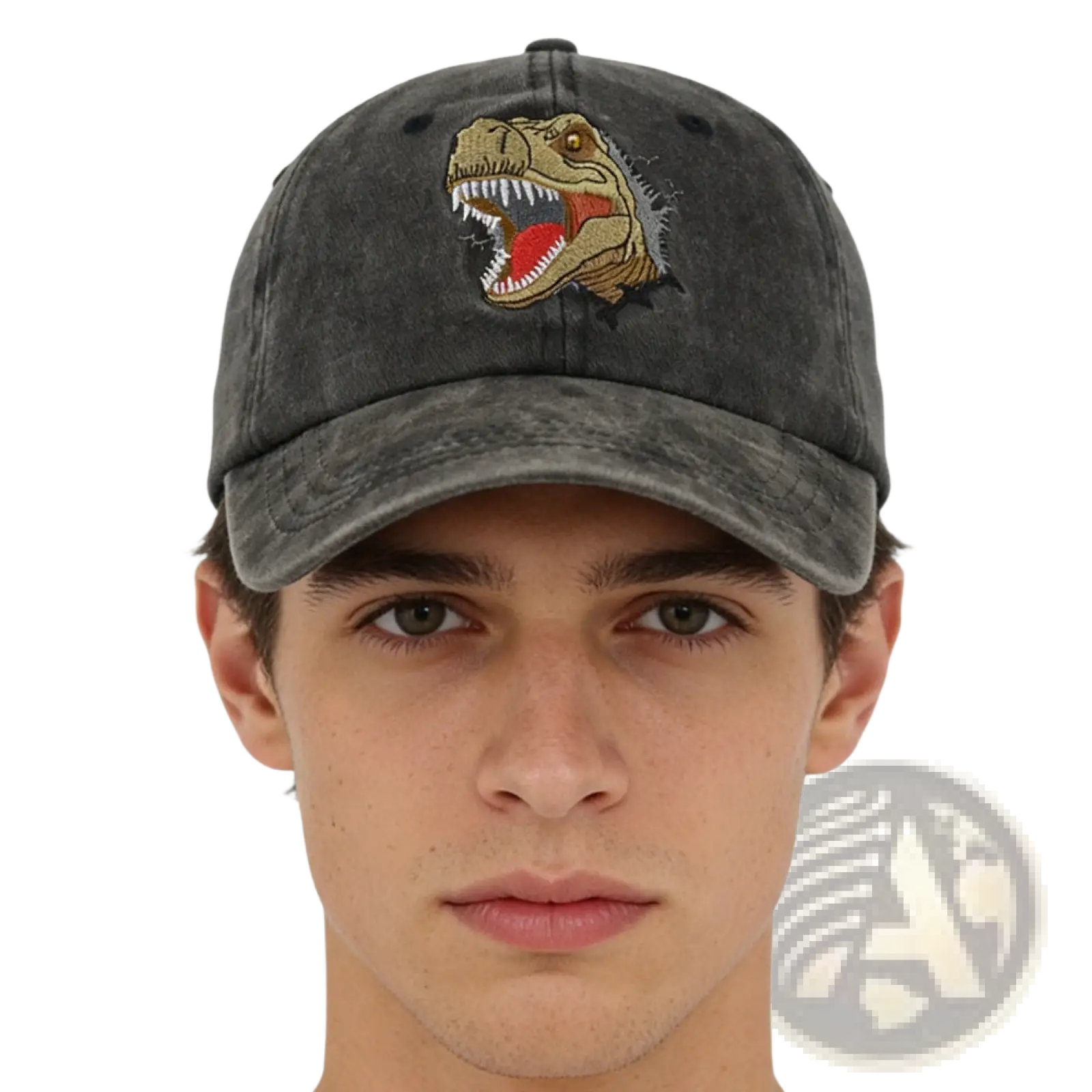 A dark gray distressed dinosaur baseball cap with an embroidered t-rex head featuring a red tongue and white teeth