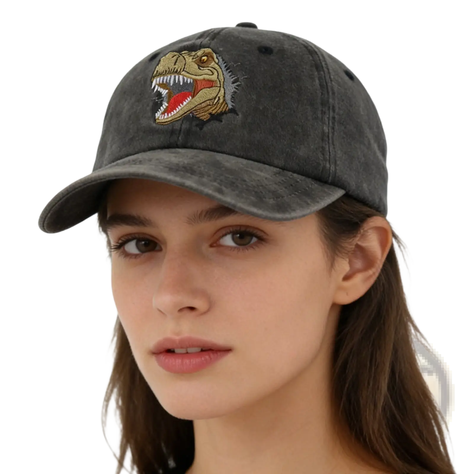 A dark gray distressed dinosaur baseball cap with an embroidered tan and red T-rex head on the front