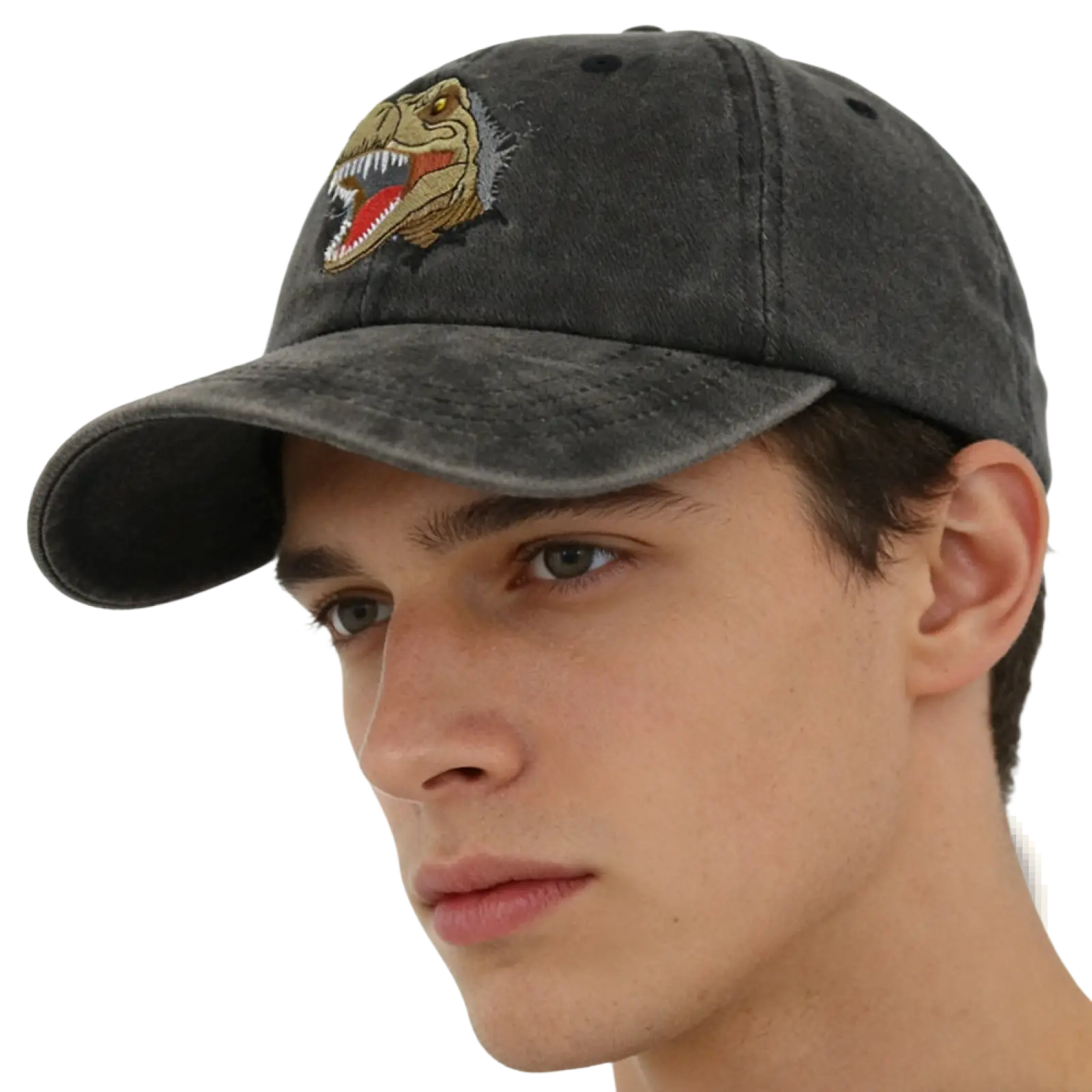 Dark gray distressed baseball cap with embroidered yellow red and black t-rex head titled distressed dinosaur baseball cap