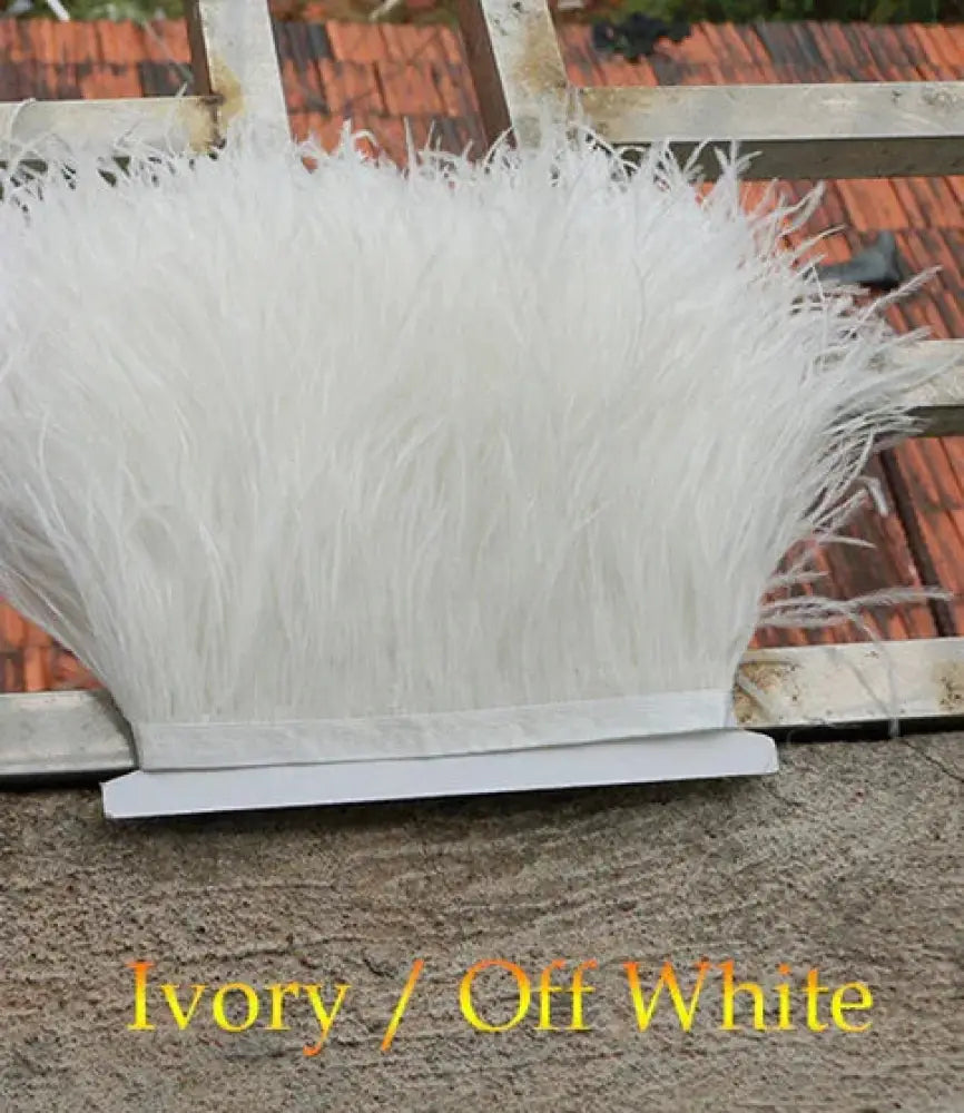 Premium feather fringe and ostrich trim in ivory hue bundled with a white band for diy fashion projects