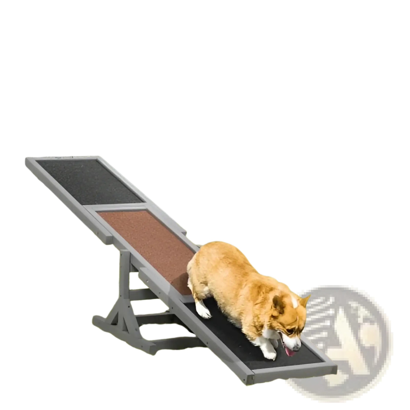 Gray and brown wooden dog agility seesaw training equipment with a corgi walking on the ramp