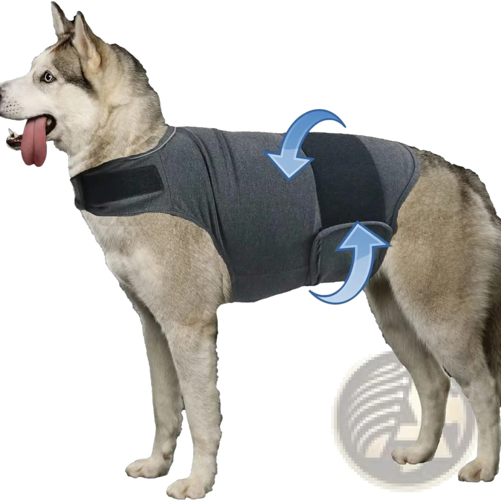 Gray fabric dog anxiety jacket with black adjustable straps and breathable design shown from the back side