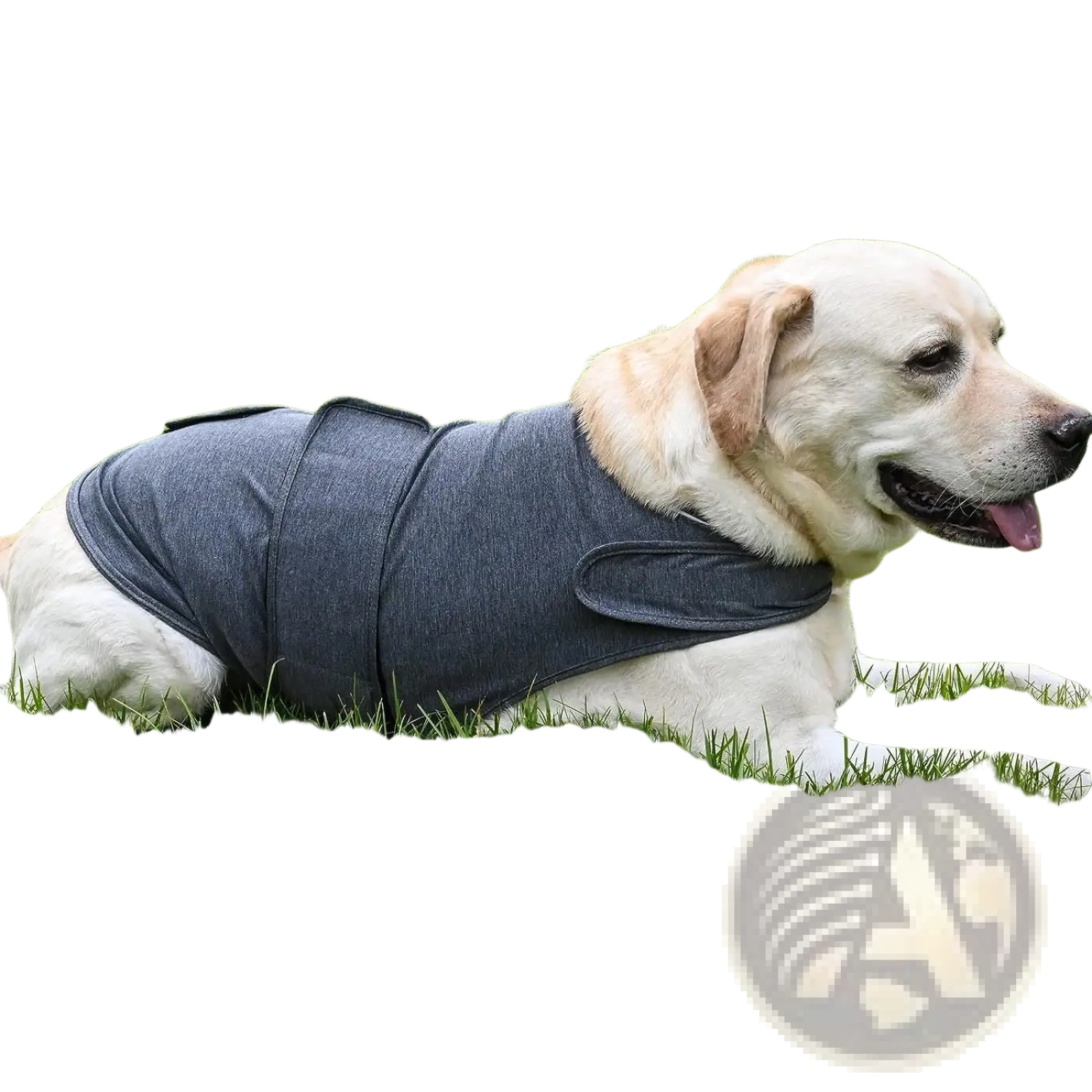 A soft dark gray breathable fabric dog anxiety jacket vest shown from the back side for thunderstorm calming
