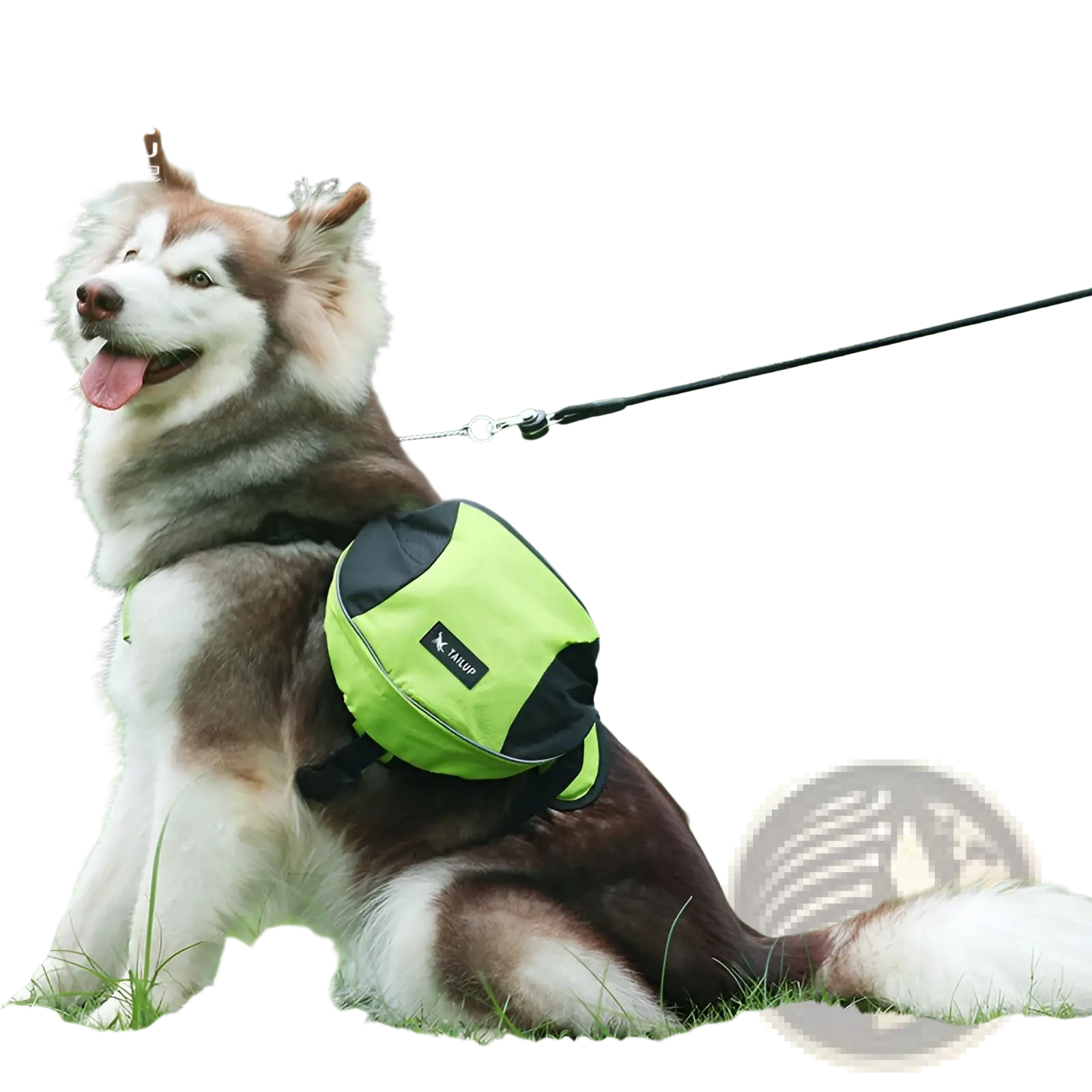 Bright neon green and black tailup dog backpack made of oxford cloth with reflective strips for adjustable hiking use