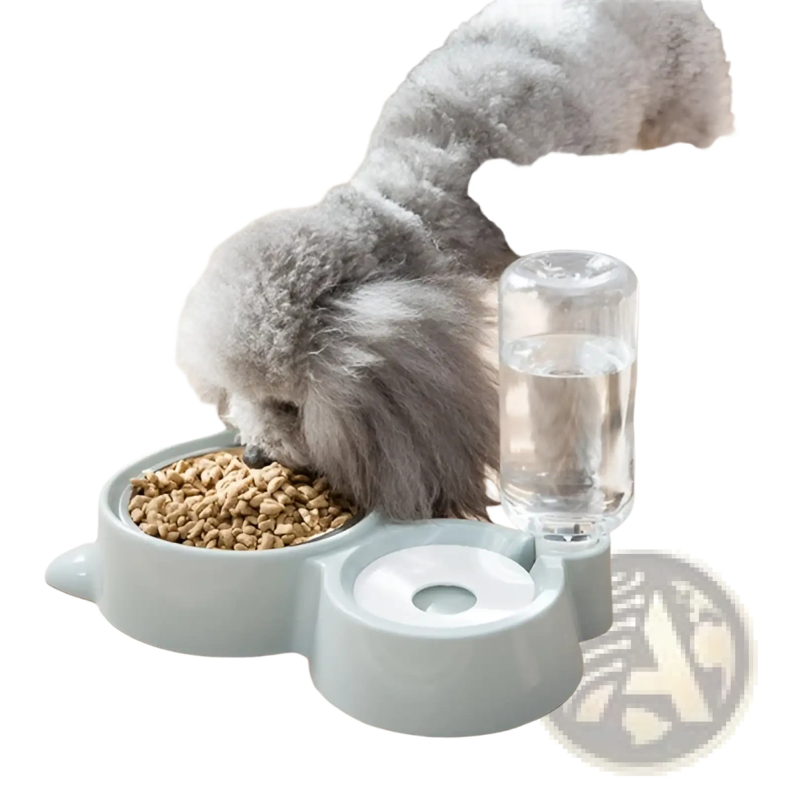 Light blue dual-compartment dog bowl automatic water dispenser with clear water bottle stainless steel pet feeder