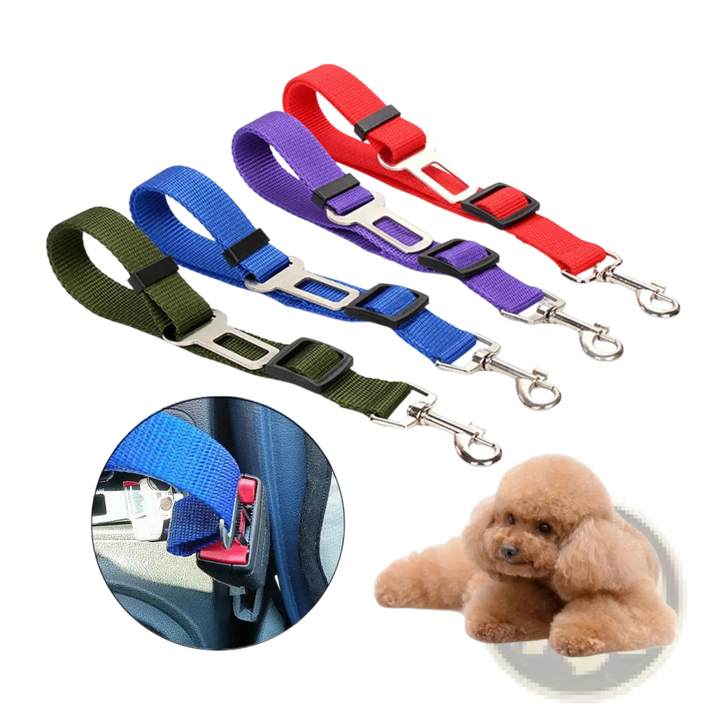 Colorful nylon dog car safety belt adjustable pet seat leash with black plastic buckles and silver metal clasps