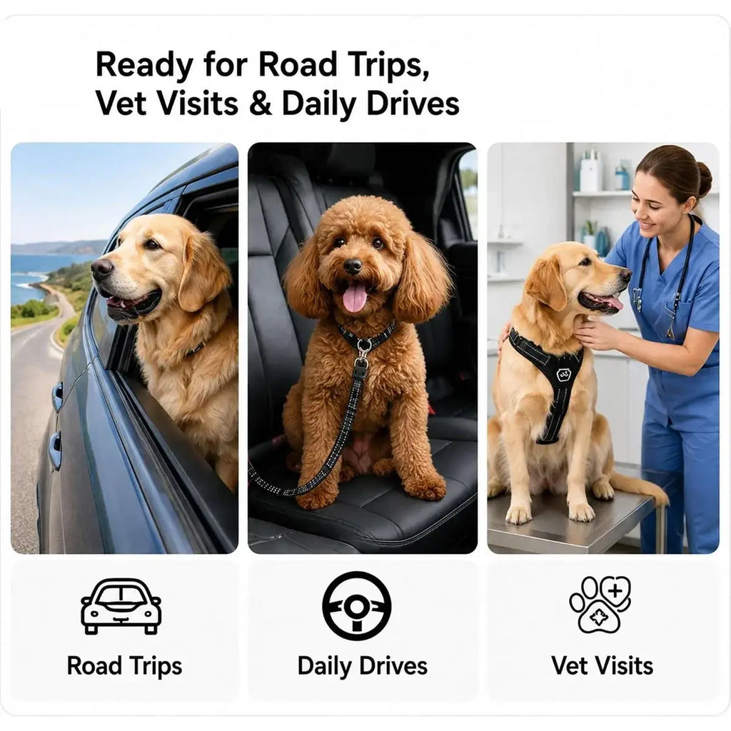 Black padded dog harness with reflective stripes and adjustable straps for comfort during pet car travel and vet visits car seat belt