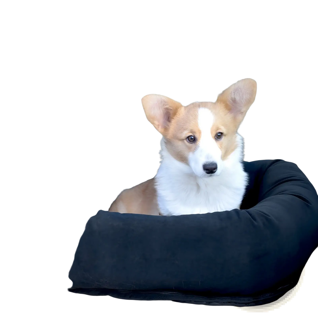 Black plush dog car seat with adjustable straps and cushioned design for travel kennel blue camouflage model