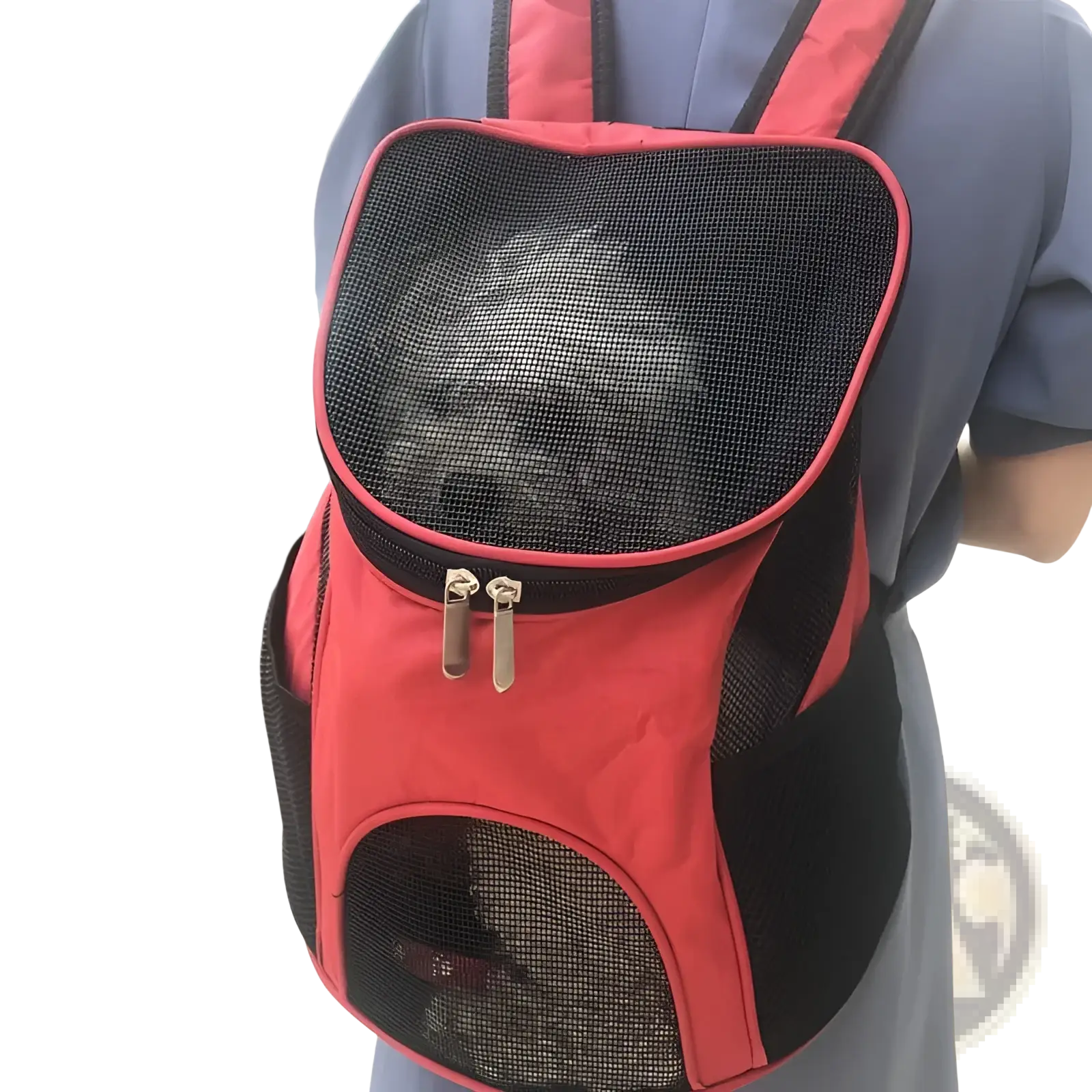 Red and black breathable mesh dog carrier backpack with adjustable straps for small pet travel bag shown from the back side