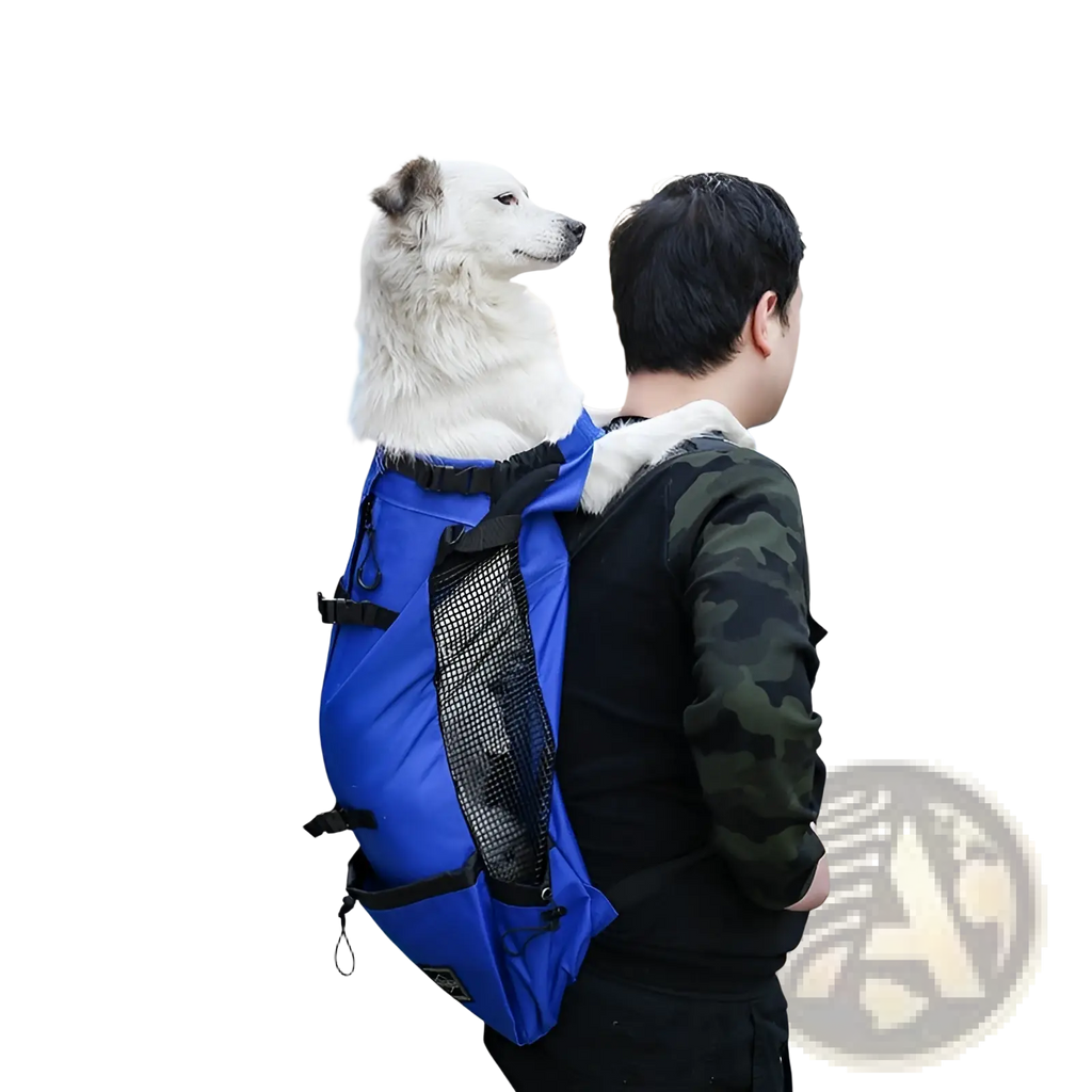 Blue dog carrier backpack with black straps and mesh side panel for portable travel use