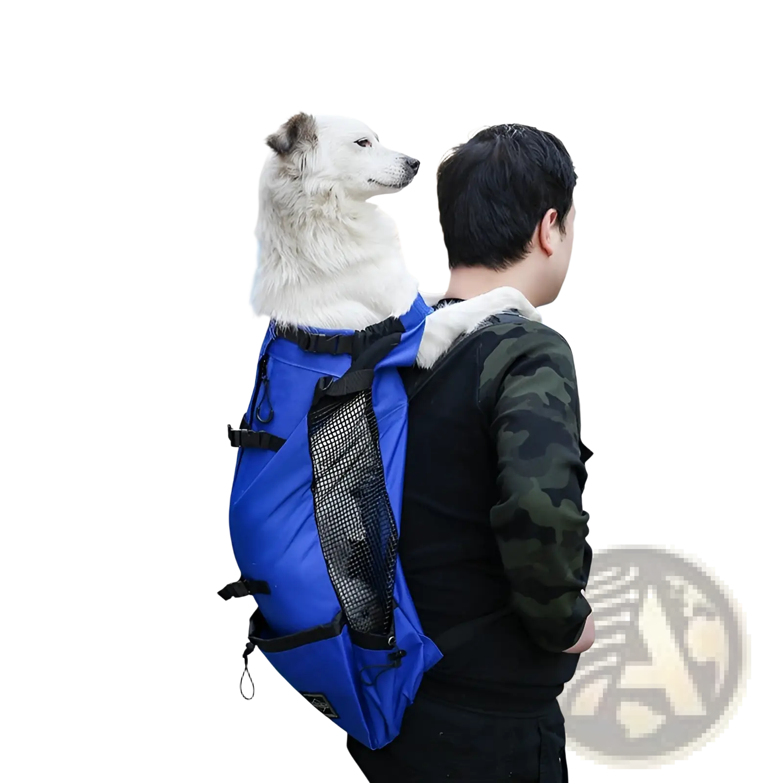 Blue dog carrier backpack with black straps and mesh side panel for portable travel use