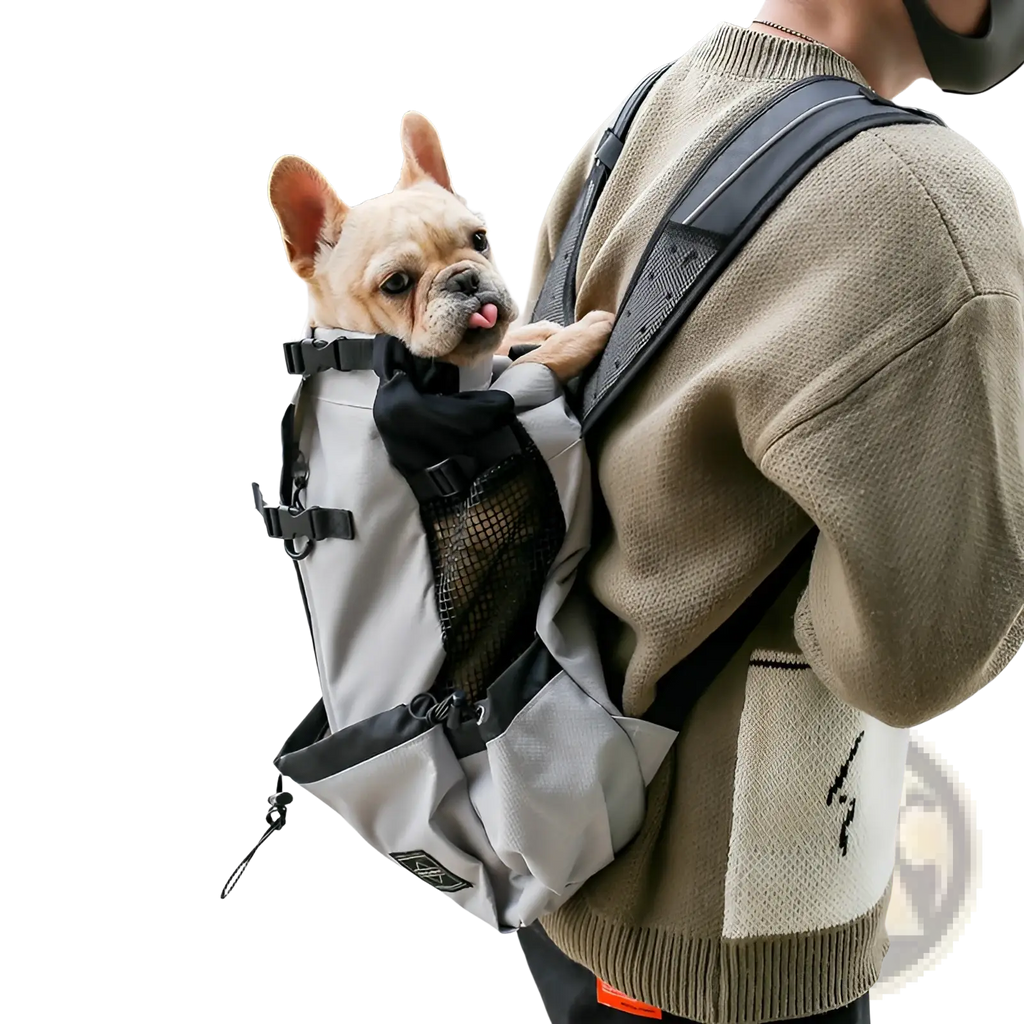 Gray and black dog carrier backpack with mesh side pocket designed for portable travel with small dogs