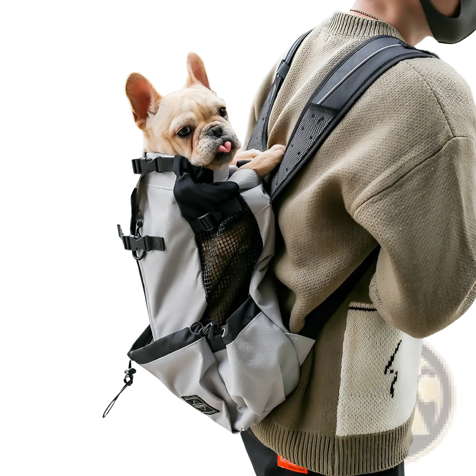 Gray and black dog carrier backpack with mesh side pocket designed for portable travel with small dogs