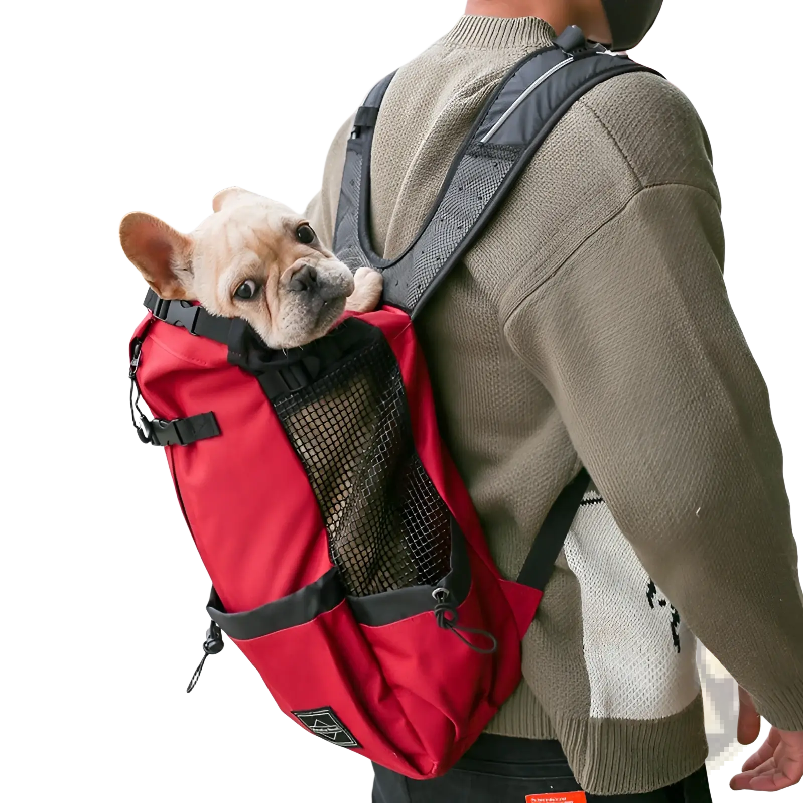 Red and black dog carrier backpack with mesh side panel for portable travel and ventilation