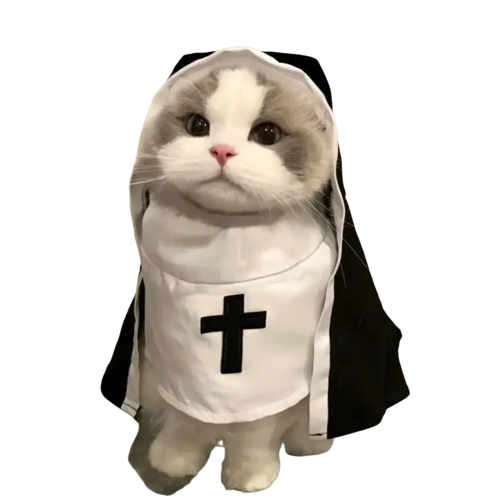 A fluffy gray and white pet dog cat wearing a black and white nun costume made of polyester fibre with a cross emblem