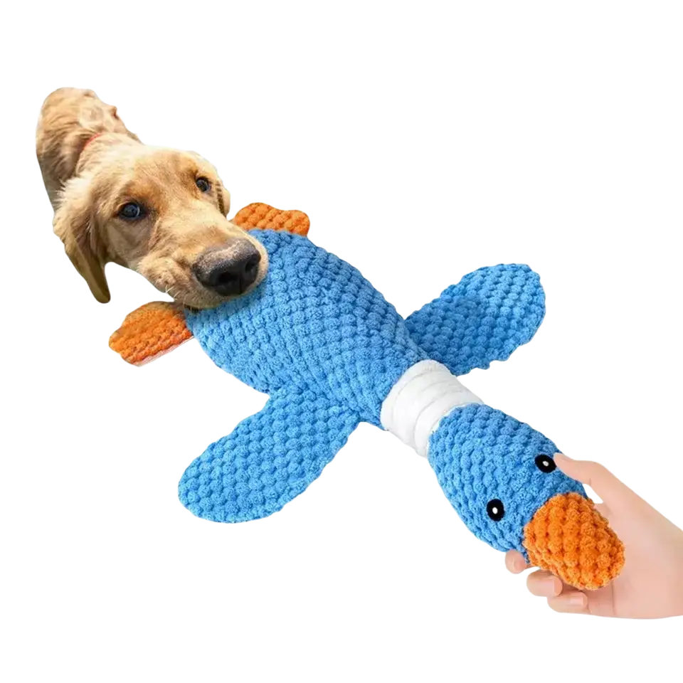 Blue crocheted plush duck dog chew toy with orange beak and feet held while dog bites it for puppies