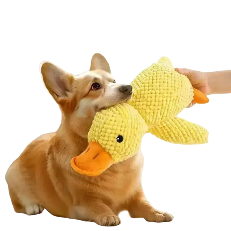 Yellow knitted plush duck dog toys with orange beak and black eye designed as squeaky chew toys for puppies