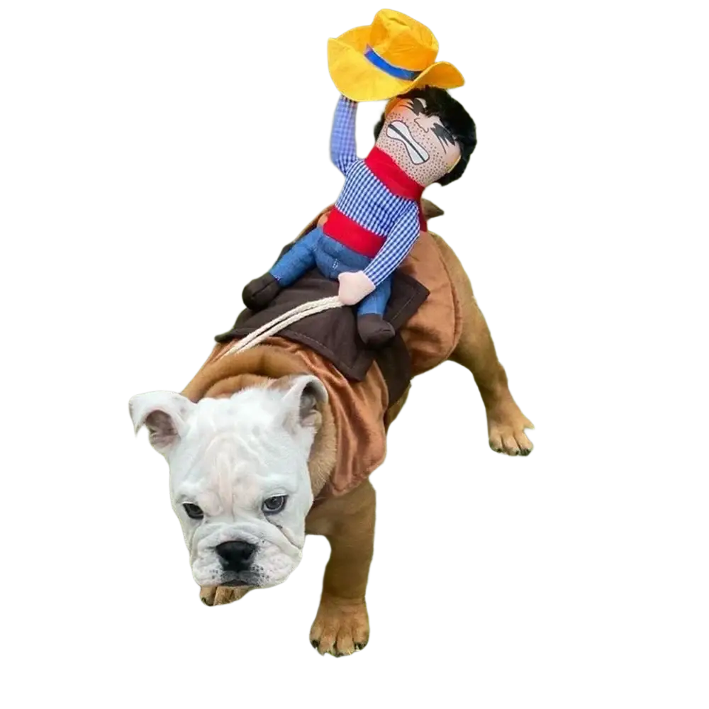 A white bulldog wearing dog clothes funny cowboy costume with brown outfit yellow hat and blue plaid shirt chest girth fit