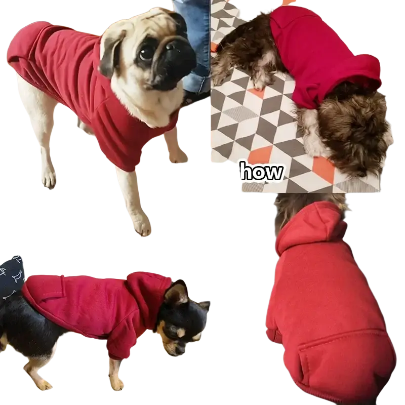 Red hooded fleece hoodie for dogs with pocket in vibrant red dog clothes ideal for winter use via china post registered air mail