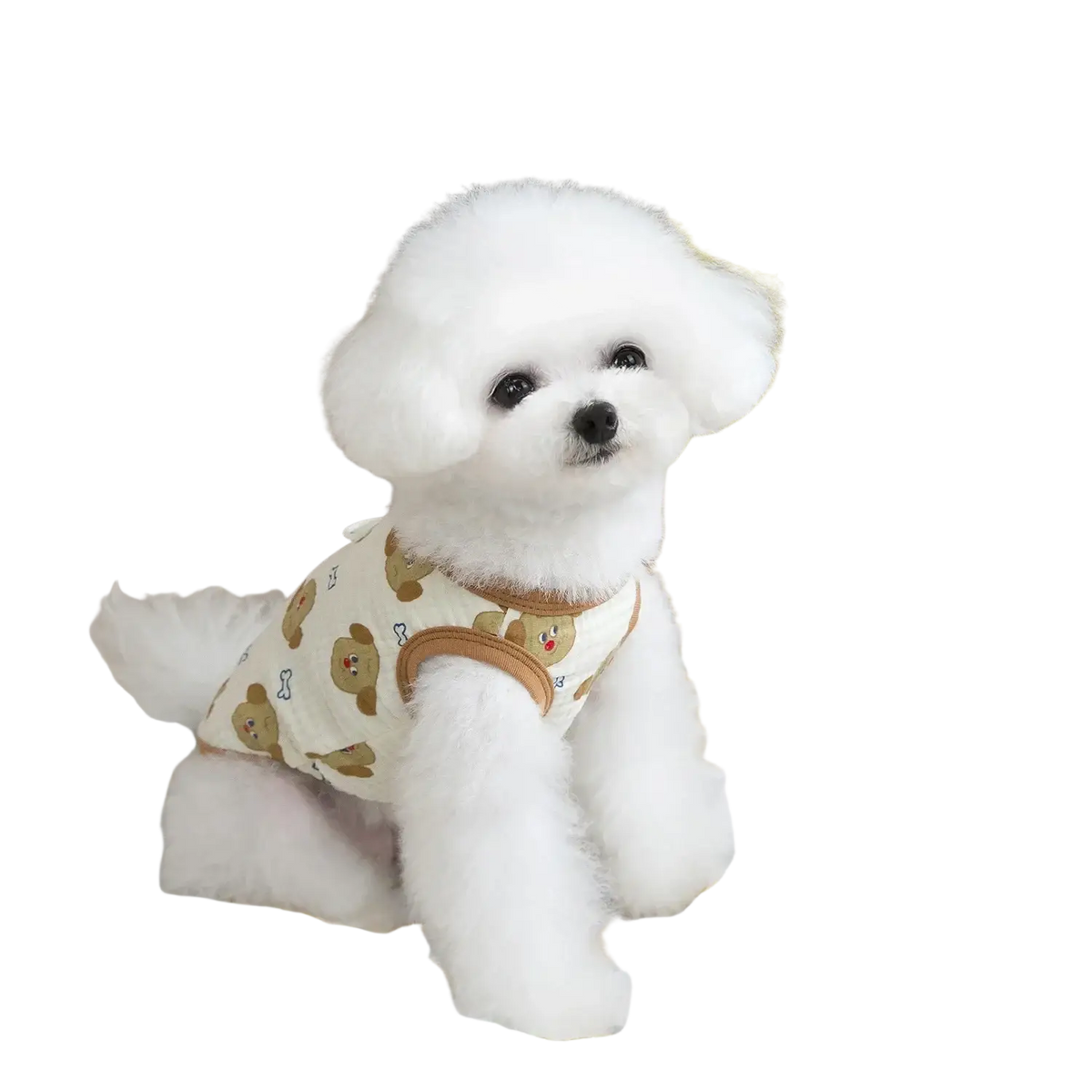 White fluffy dog wearing beige cotton dog clothing cat vest with teddy bear embroidery and brown leather straps