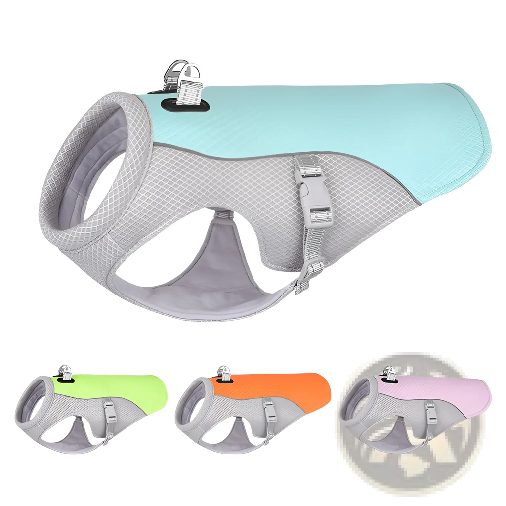 Light blue and gray mesh dog cooling vest with adjustable straps and reflective buckle for sun proof safety