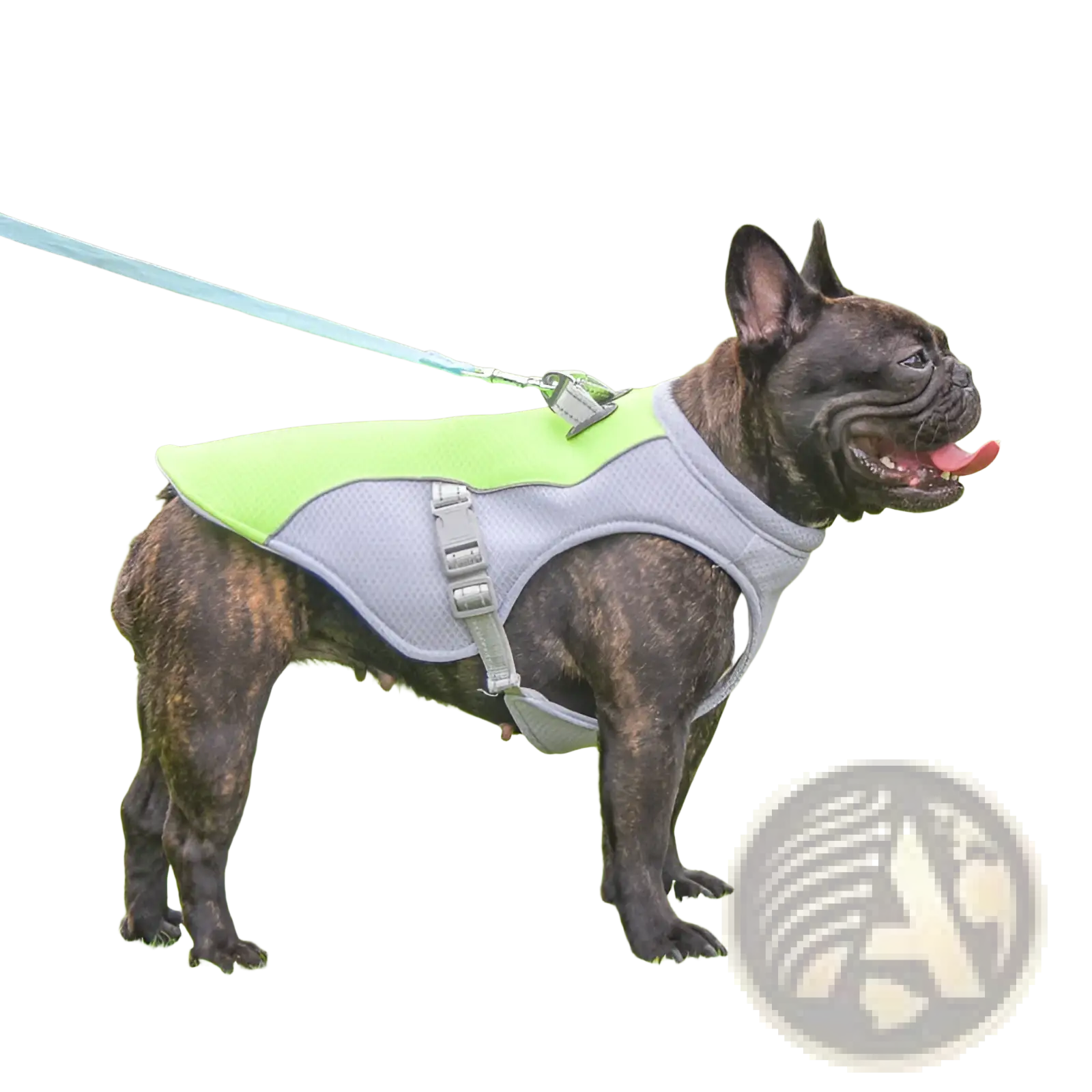 A sleek two-tone lime green and gray reflective dog cooling vest made of breathable mesh with adjustable straps