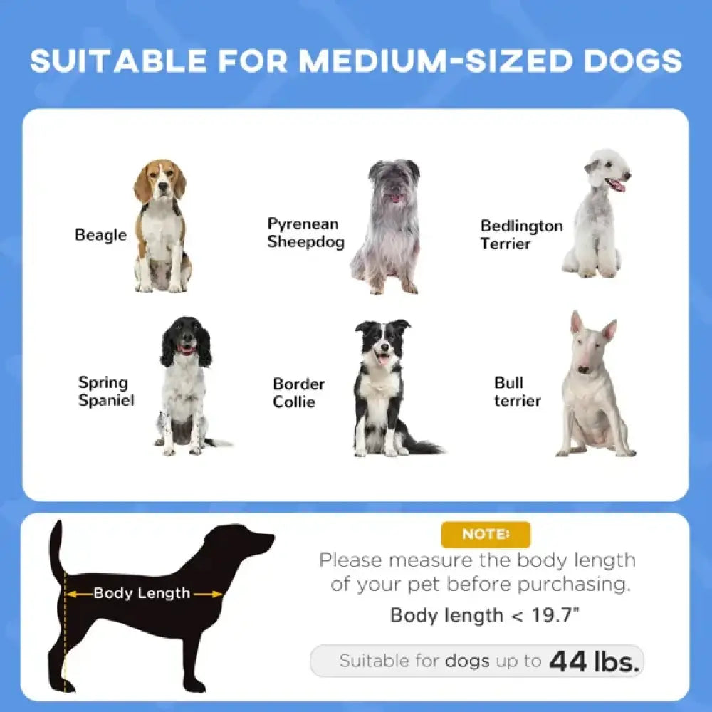 Elevated cooling pet bed with removable blue mesh canopy and padded medium dog collar with adjustable strap and buckle