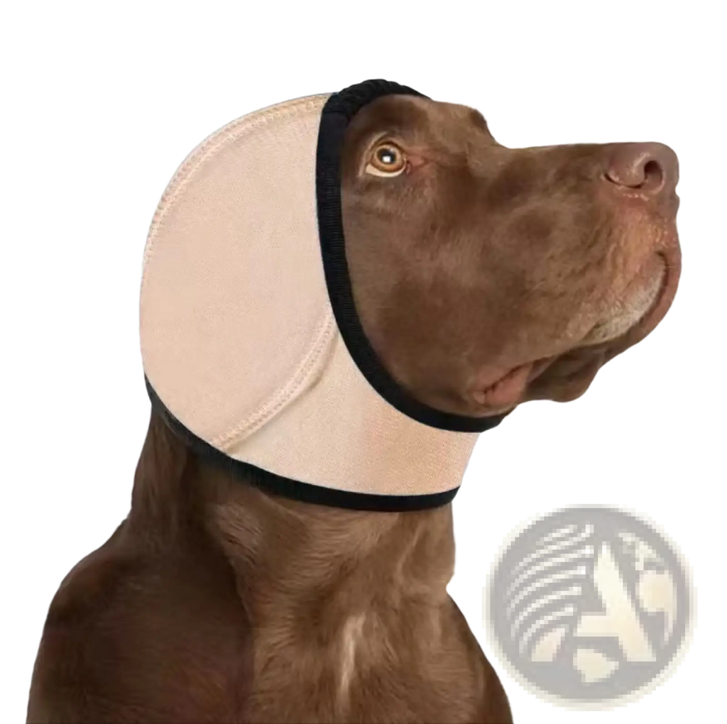 Beige and black padded neoprene dog ear protector with elastic trim designed as a swim cap for ear protection