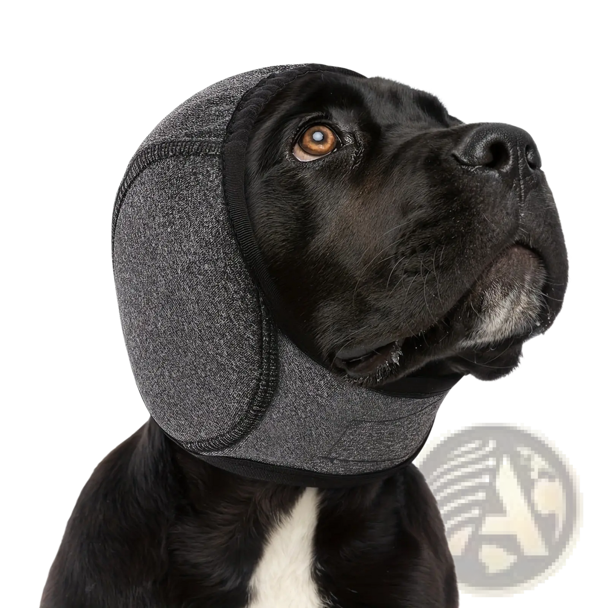 Gray textured fabric dog head cover with black trim as a neoprene ear protector swim cap for dogs