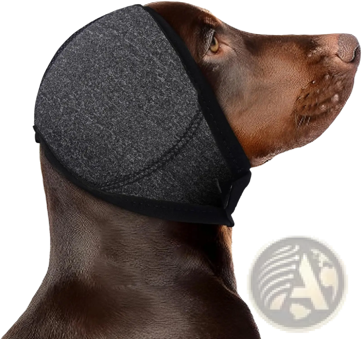 Gray textured fabric dog head cover with black trim for ear protection in pink neoprene swim cap design