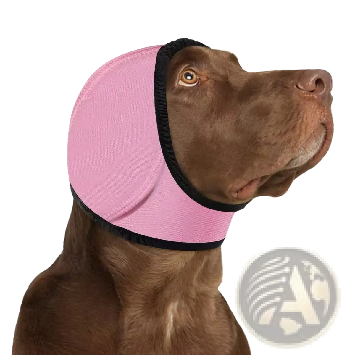 Dog ear protector pink neoprene swim cap with black trim designed for ear protection during swimming