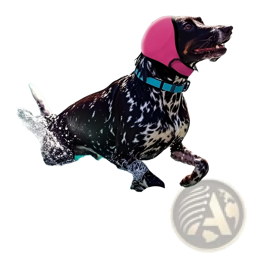 Pink water-repellent neoprene dog swim cap with ear protection shown from the back side for aquatic use