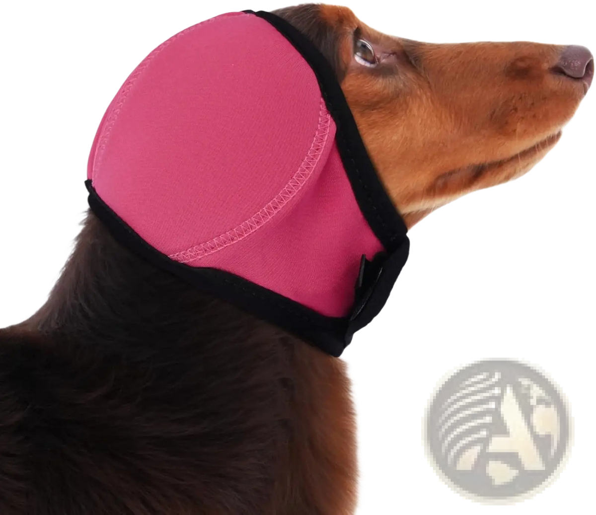 Pink neoprene dog ear protector with black trim designed as a swim cap for water activities
