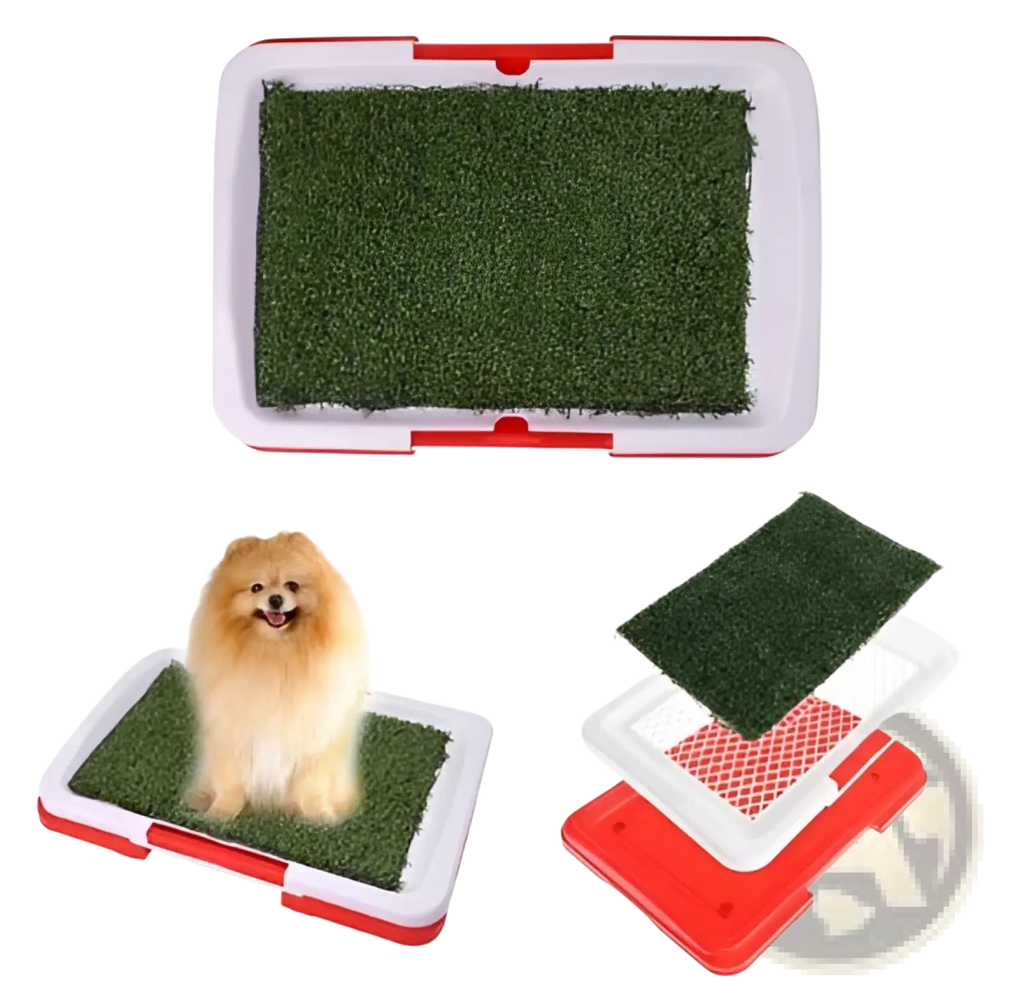 Dog grass pee pad indoor potty tray with red and white plastic frame and green artificial grass lining for dogs