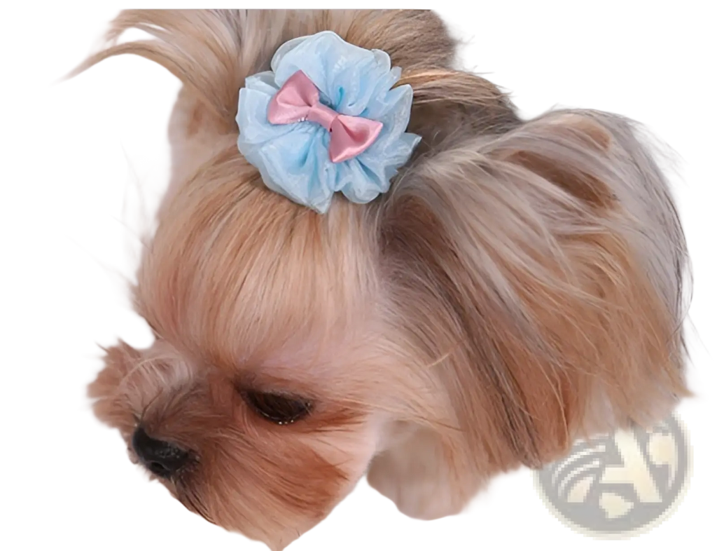 Light blue ruffled organza dog hair bow with small pink satin ribbon accent pastel pet accessory