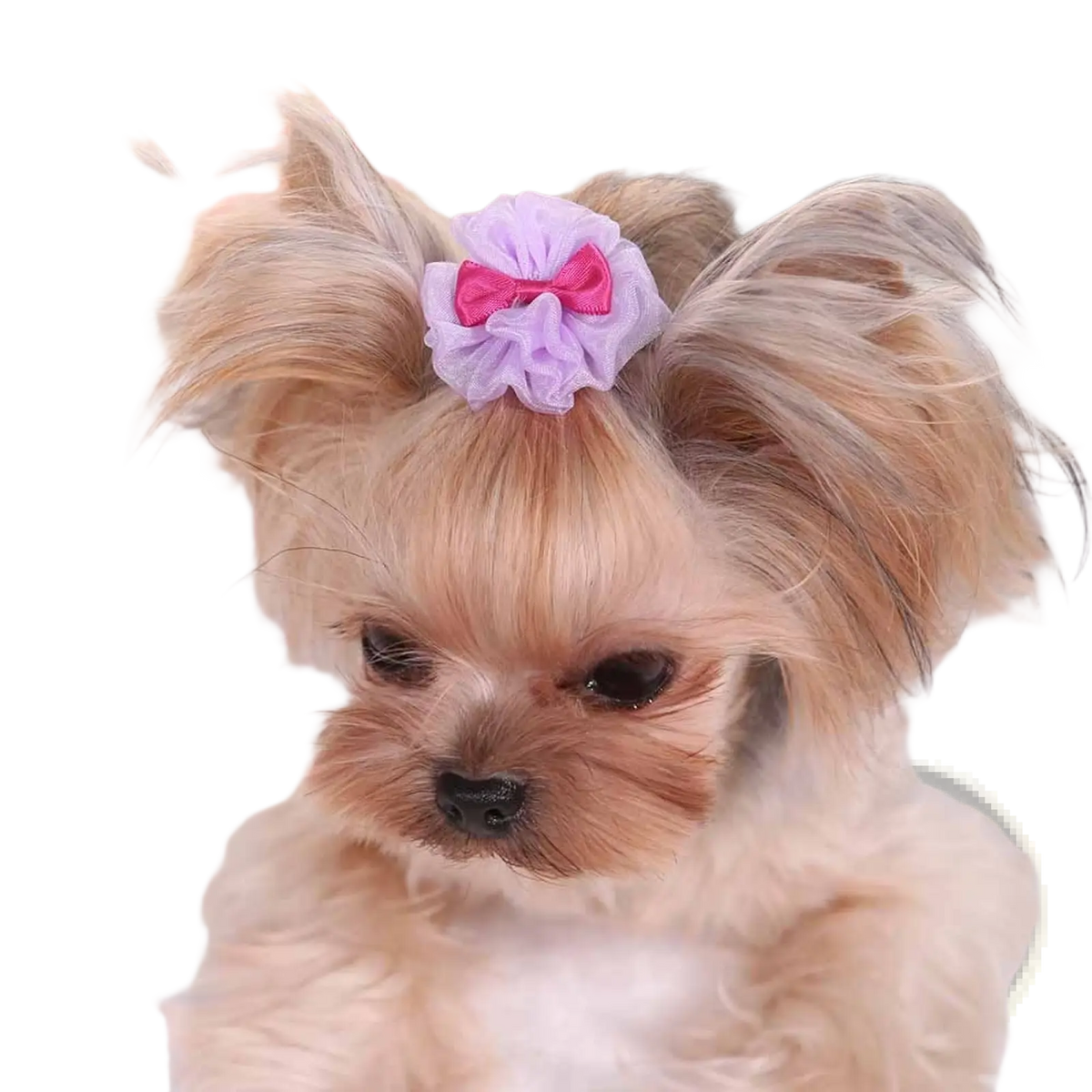 A delicate lavender and pink organza bubble dog hair bow with ruffled texture and central satin ribbon accent