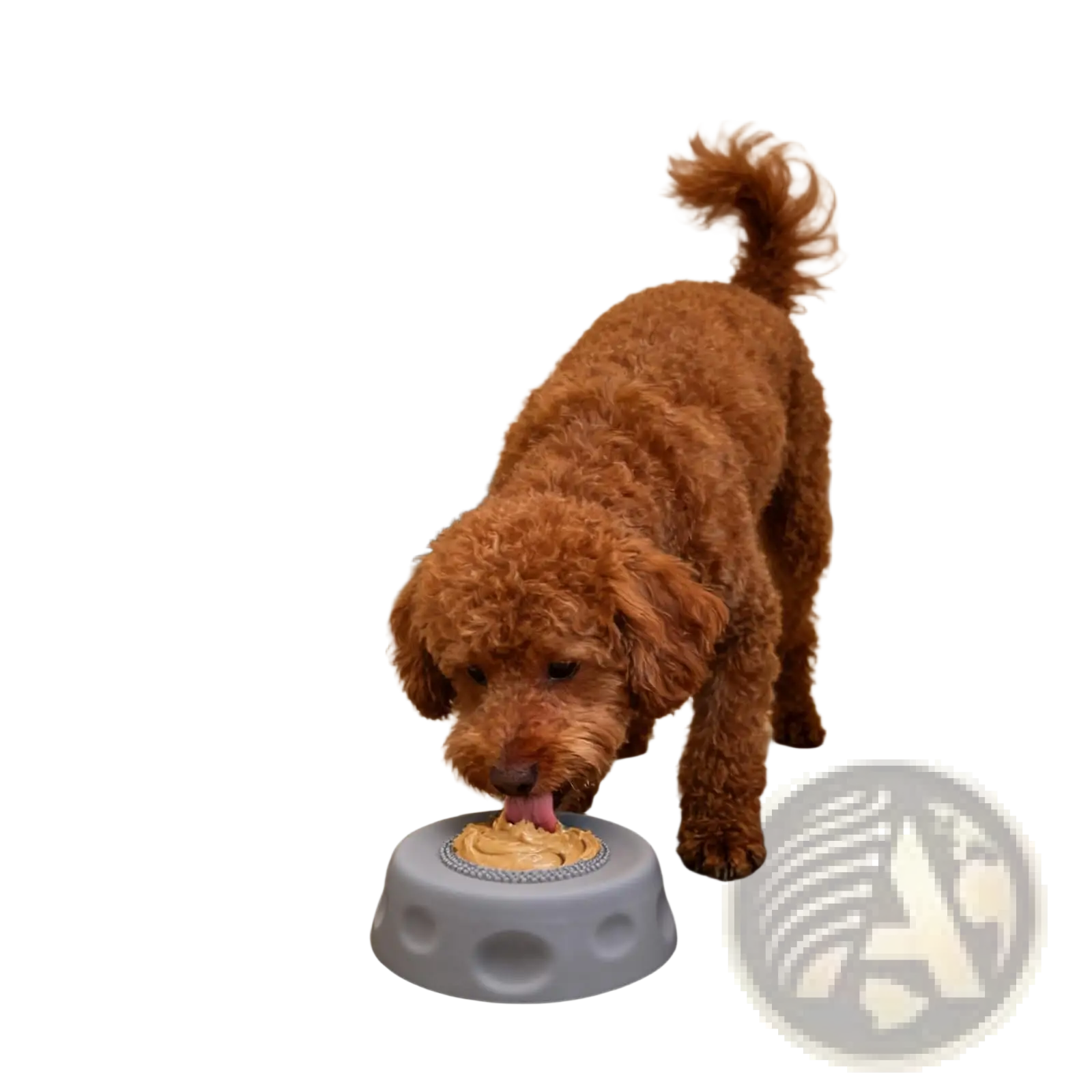 Gray silicone dog lick bowl with raised rim and circular indentations featuring rolling ball slow feeder design