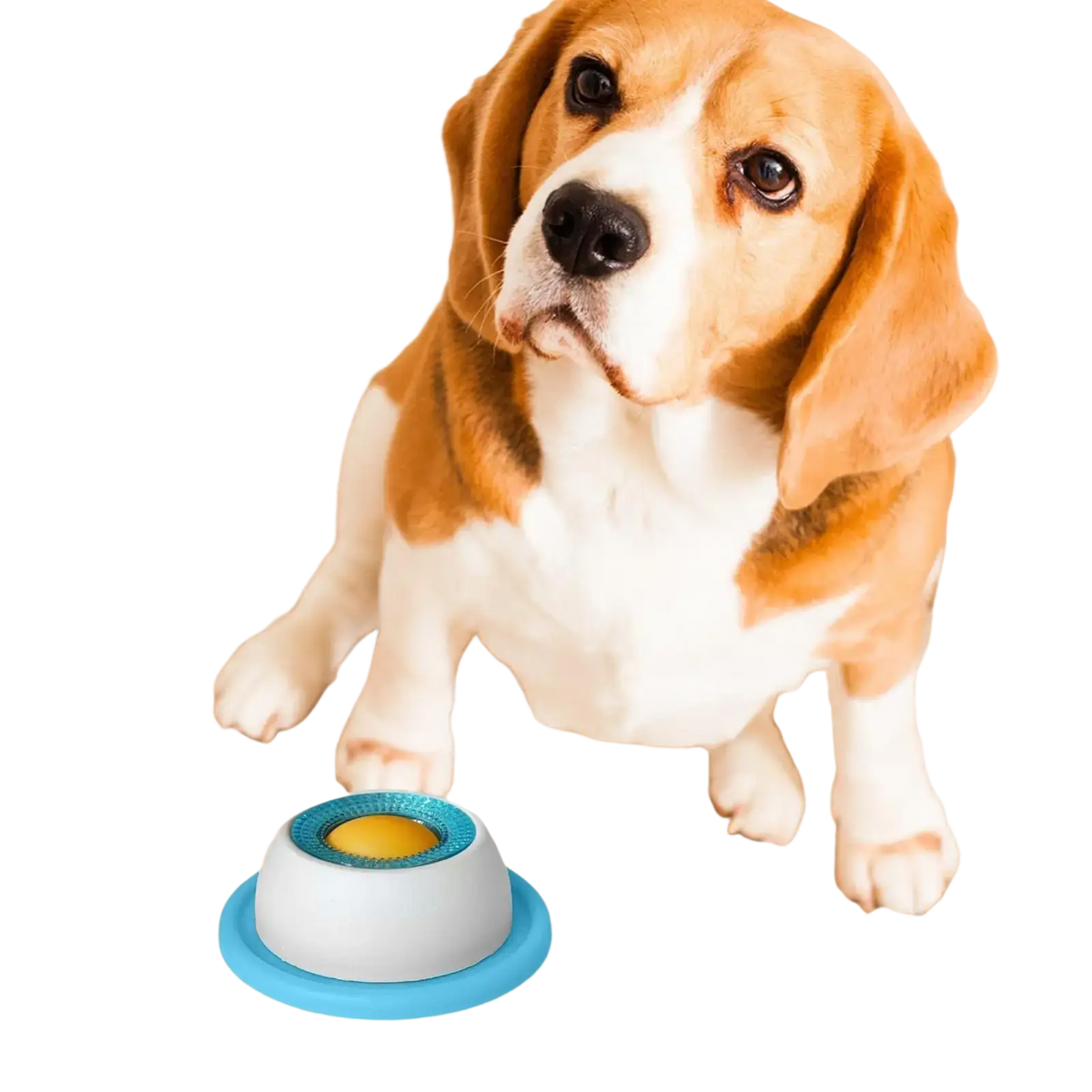 Blue and white interactive dog licking toy slow feeder puzzle with yellow center for puppies designed to promote dog licking