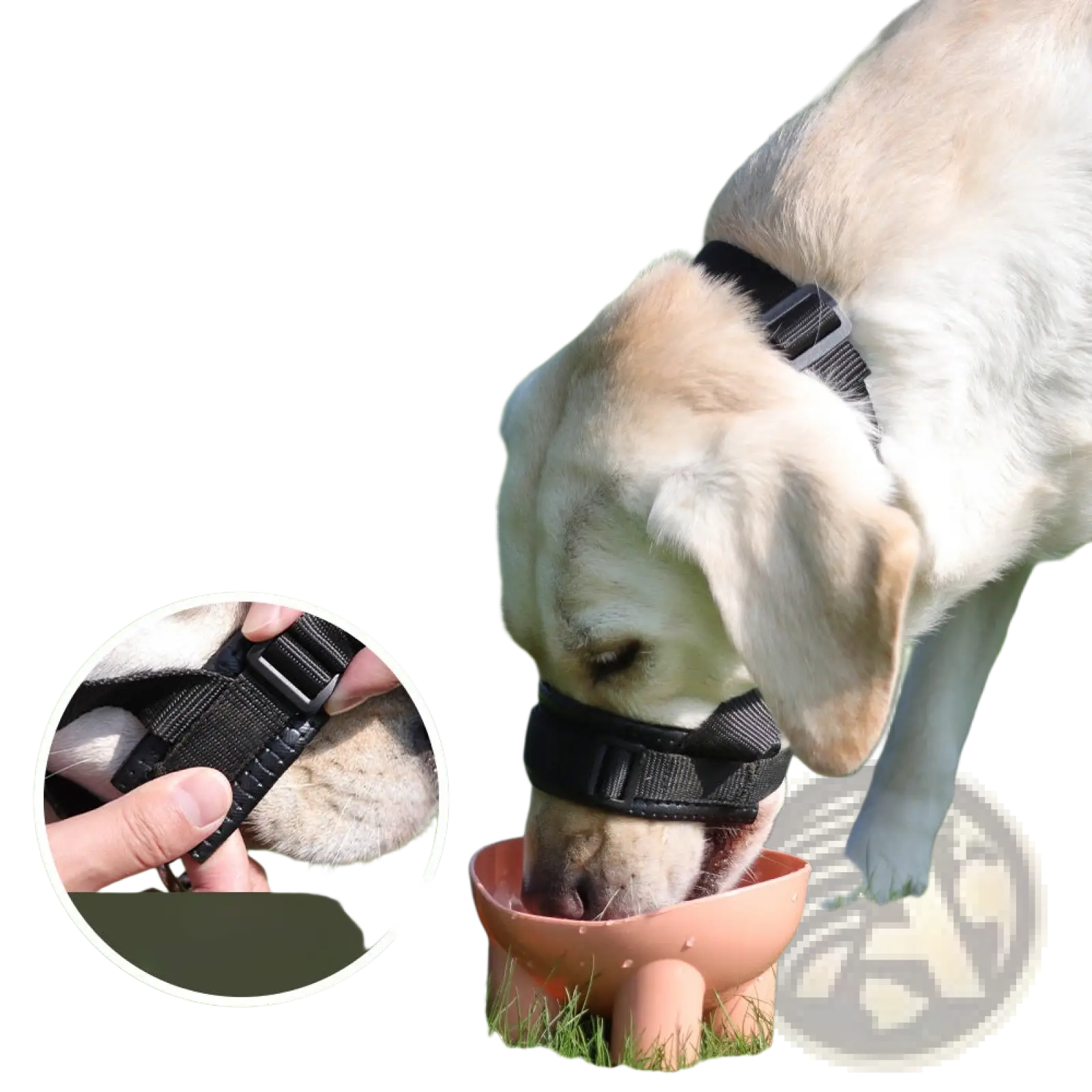 Black adjustable padded nylon dog muzzle with peach water bowl attached for anti barking use
