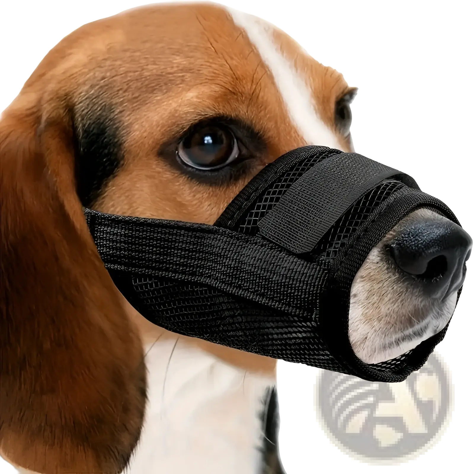 Black mesh dog muzzle with adjustable strap designed for anti barking and comfort use