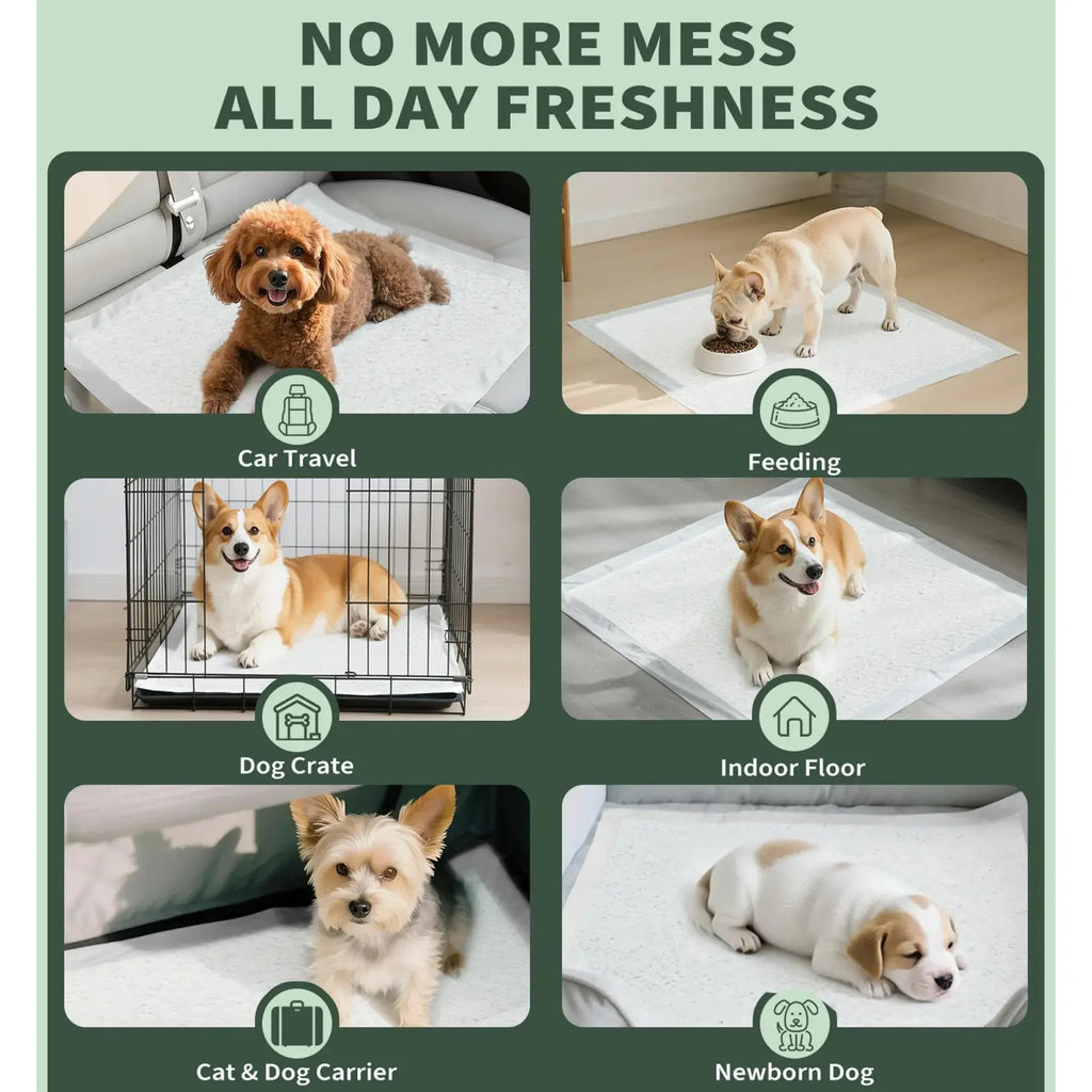 White absorbent dog pee pads 100 pack with odor control and leak proof features for various pet scenarios