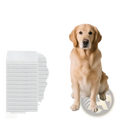 White seven-layer dog pee pad with odor control and leak proof features under a golden retriever sitting on it