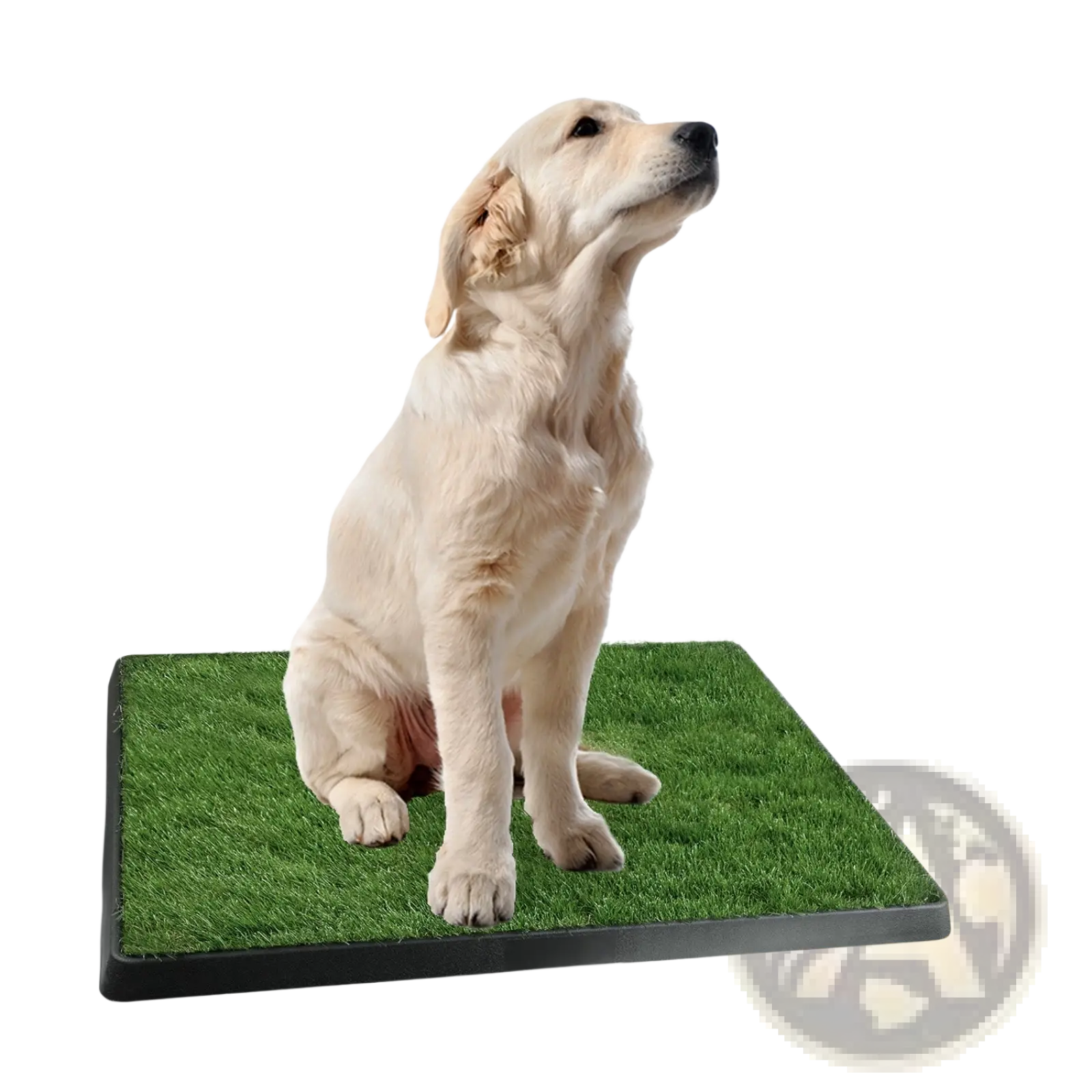 Green artificial grass dog potty training mat with black plastic border for indoor pet use